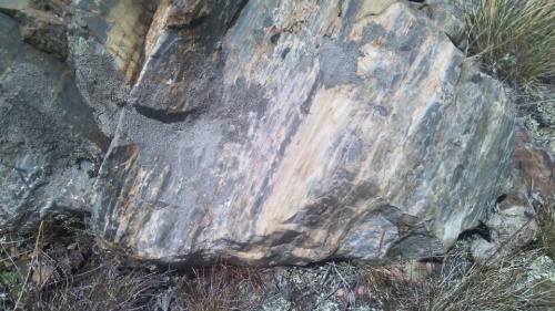 Гигантские зелёные валуны для ландшафтного дизайна весом более 5 тонн купить в Ставропольском крае