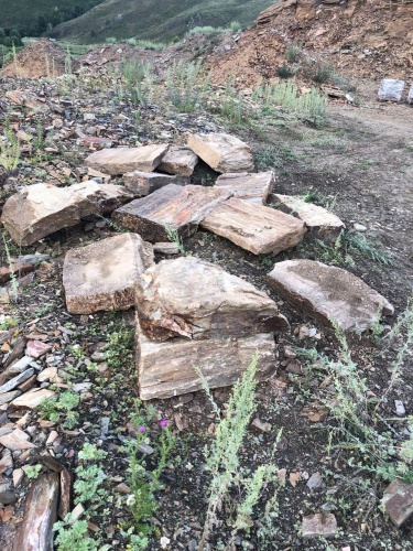 Пошаговая дорожка из плит златолит кора дерева купить в Ставропольском крае